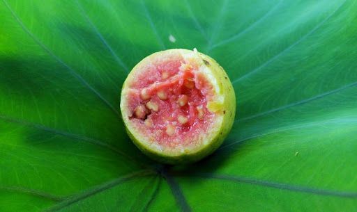 Guava